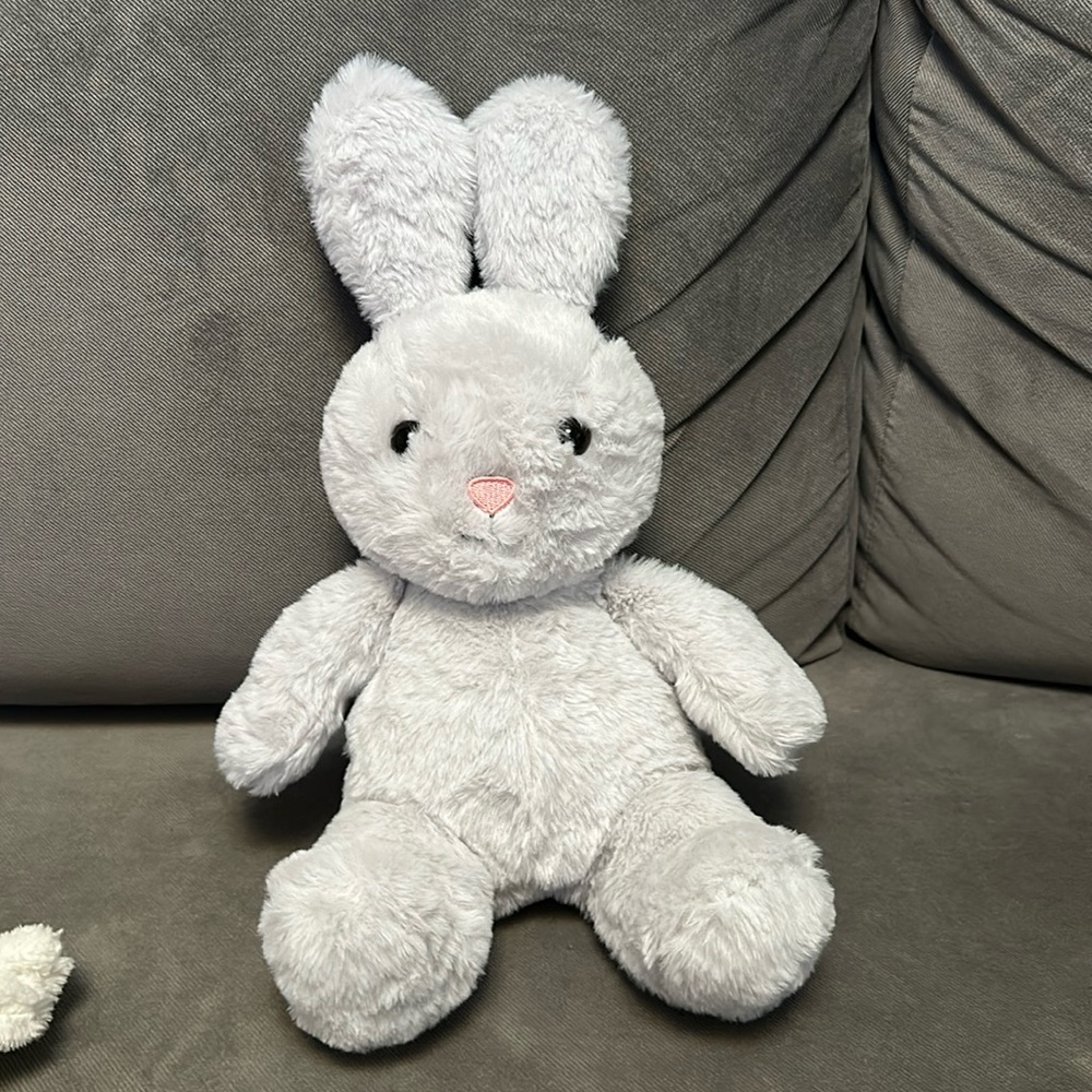 Stuffed bunny